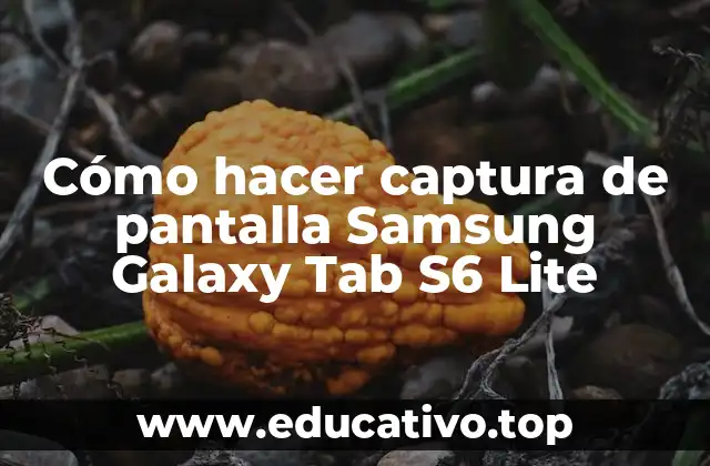 Cómo hacer captura de pantalla Samsung Galaxy Tab S6 Lite