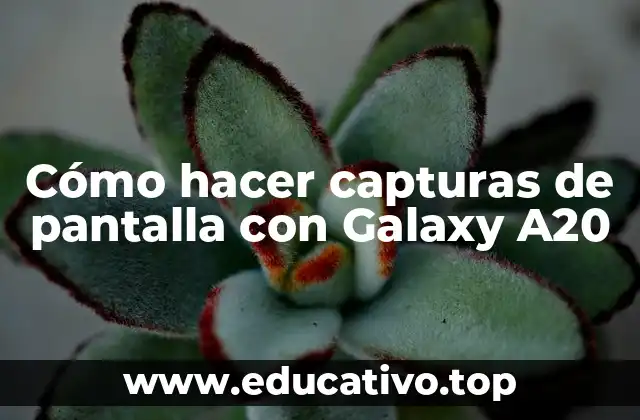 Cómo hacer capturas de pantalla con Galaxy A20