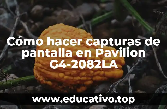 Cómo hacer capturas de pantalla en Pavilion G4-2082LA
