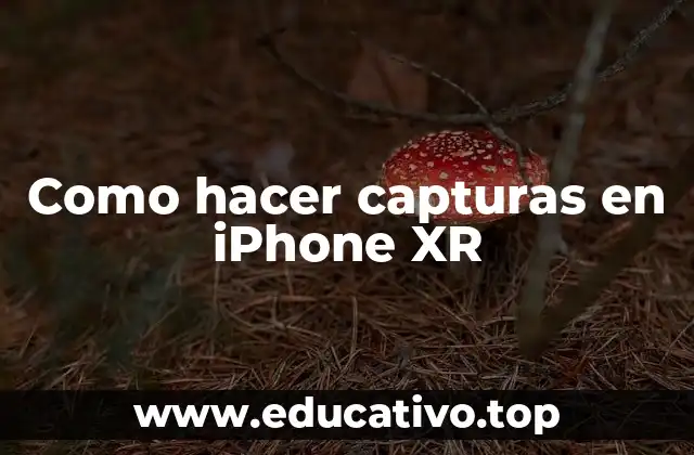 Como hacer capturas en iPhone XR