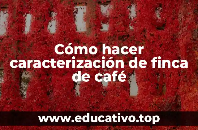 Cómo hacer caracterización de finca de café