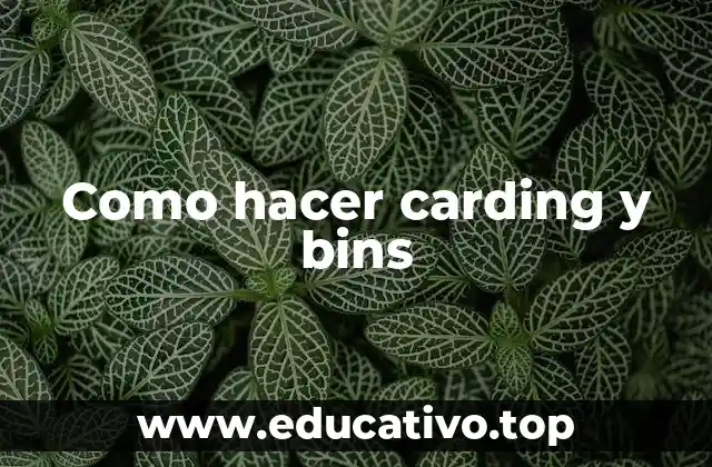 Como hacer carding y bins