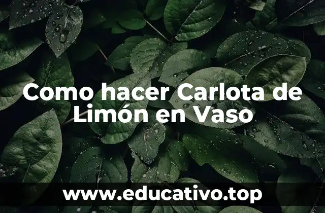 Como hacer Carlota de Limón en Vaso