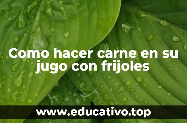 Como hacer carne en su jugo con frijoles