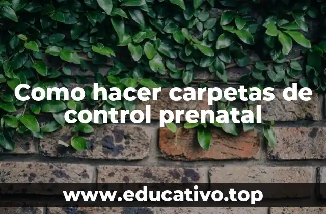 Como hacer carpetas de control prenatal