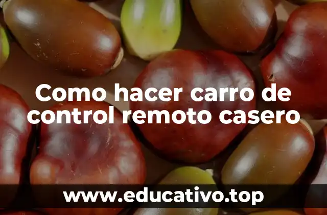 Como hacer carro de control remoto casero