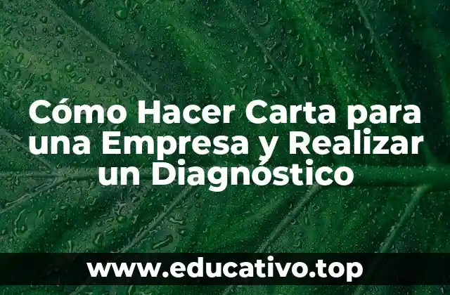 Cómo Hacer Carta para una Empresa y Realizar un Diagnóstico