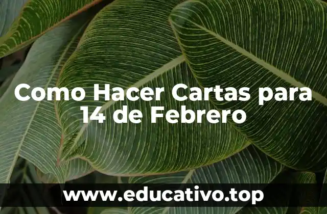 Como Hacer Cartas para 14 de Febrero