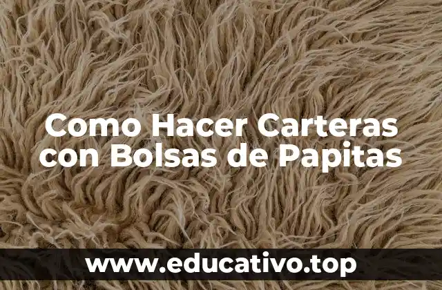 Como Hacer Carteras con Bolsas de Papitas