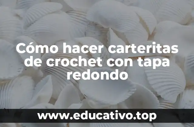 Cómo hacer carteritas de crochet con tapa redondo
