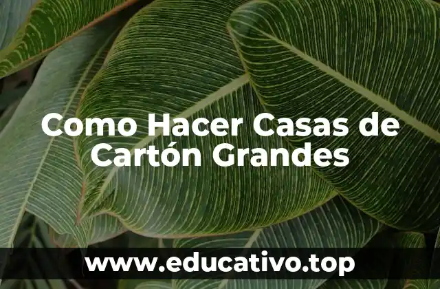 Como Hacer Casas de Cartón Grandes