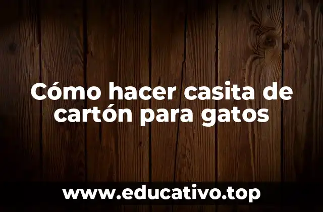 Cómo hacer casita de cartón para gatos