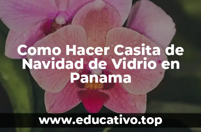 Como Hacer Casita de Navidad de Vidrio en Panama