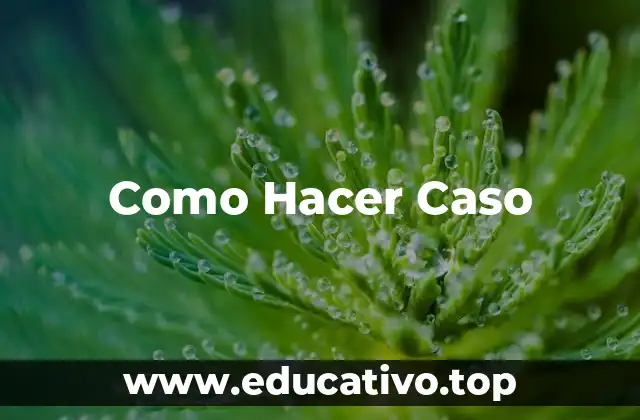 Como Hacer Caso