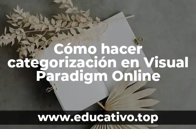 Cómo hacer categorización en Visual Paradigm Online