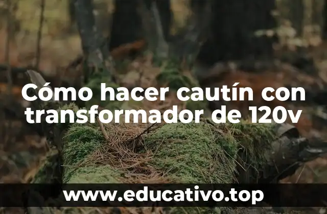 Cómo hacer cautín con transformador de 120v