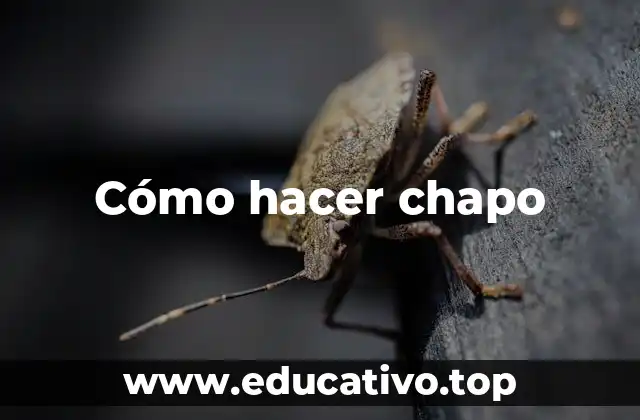 Cómo hacer chapo