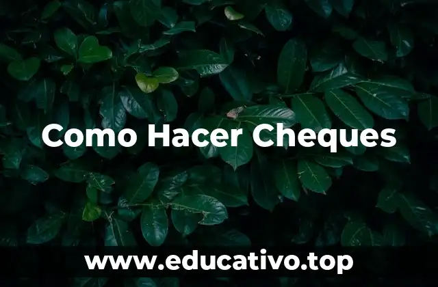 Como Hacer Cheques