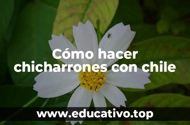 Cómo hacer chicharrones con chile