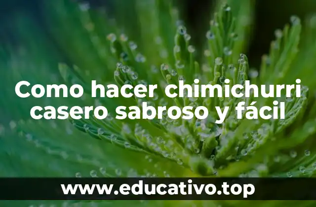 Como hacer chimichurri casero sabroso y fácil