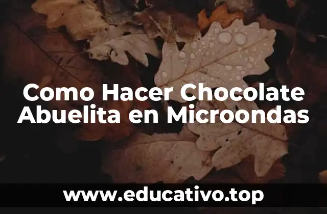 Como Hacer Chocolate Abuelita en Microondas