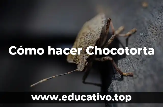 Cómo hacer Chocotorta