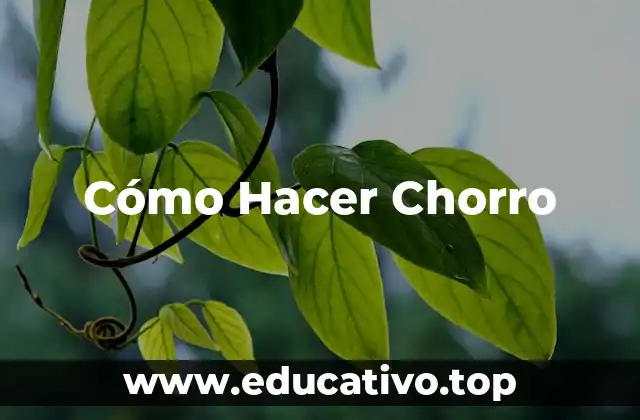 Cómo Hacer Chorro