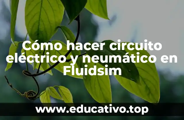 Cómo hacer circuito eléctrico y neumático en Fluidsim