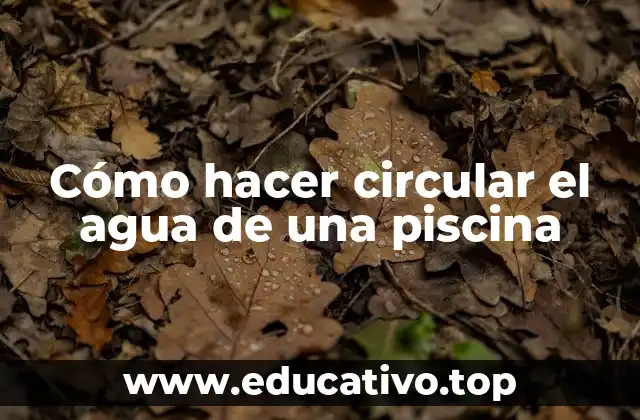 Cómo hacer circular el agua de una piscina