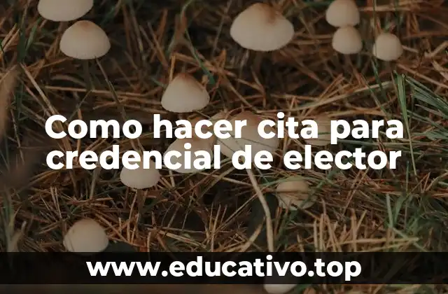 Como hacer cita para credencial de elector