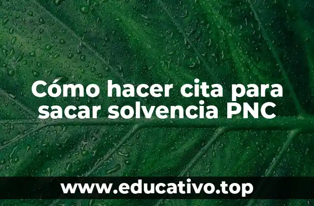 Cómo hacer cita para sacar solvencia PNC