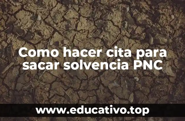 Como hacer cita para sacar solvencia PNC