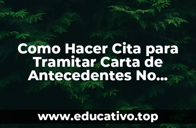 Como Hacer Cita para Tramitar Carta de Antecedentes No Penales
