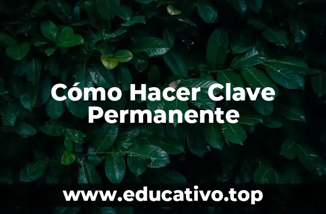 Cómo Hacer Clave Permanente