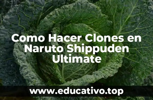 Como Hacer Clones en Naruto Shippuden Ultimate