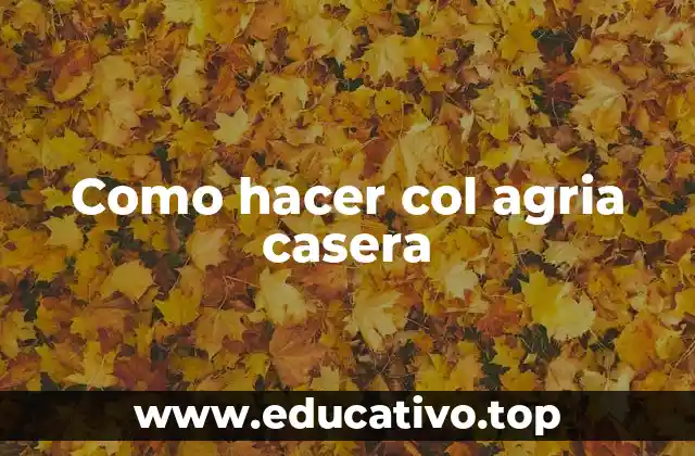 Como hacer col agria casera