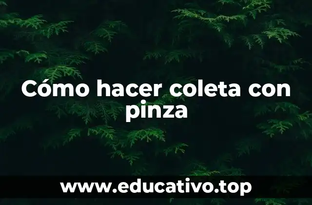 Cómo hacer coleta con pinza