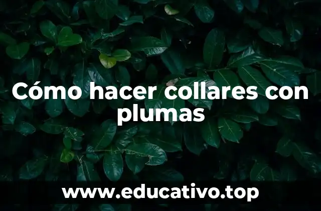 Cómo hacer collares con plumas