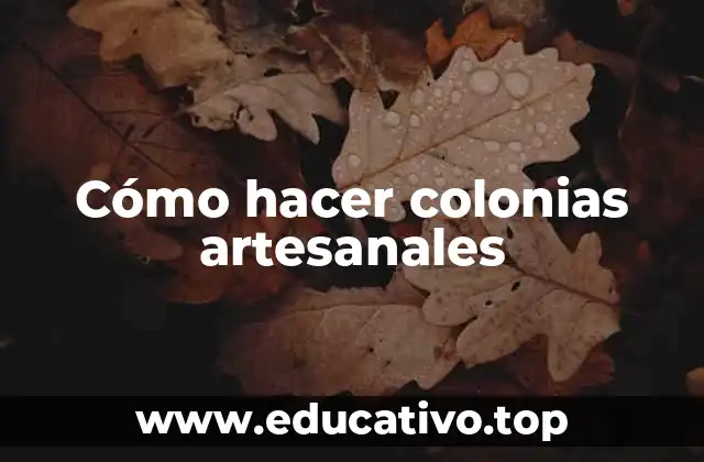 Cómo hacer colonias artesanales