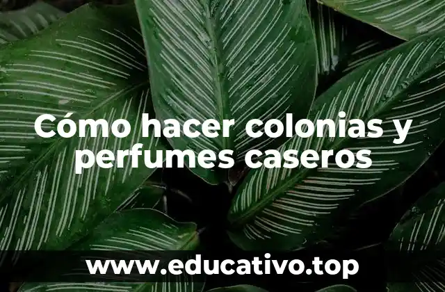 Cómo hacer colonias y perfumes caseros