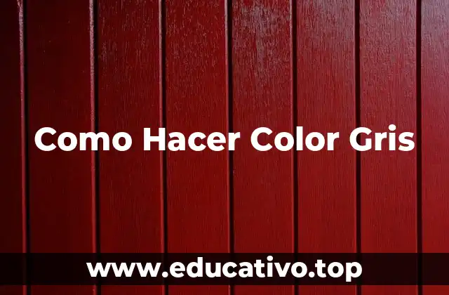 ¿Qué es el Color Gris?