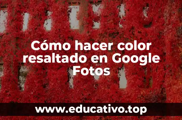 Cómo hacer color resaltado en Google Fotos