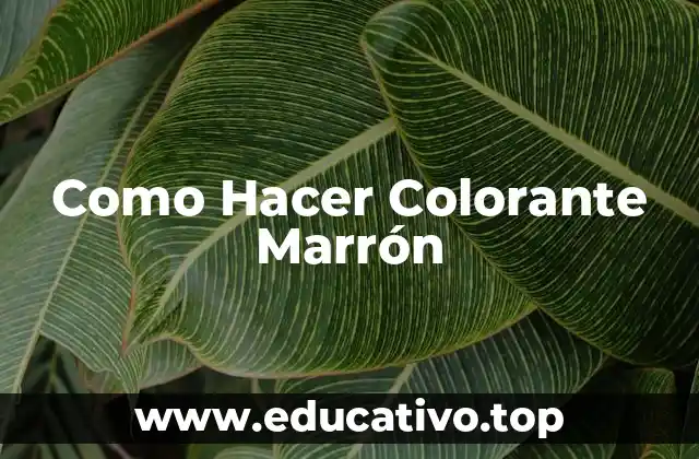 Como Hacer Colorante Marrón