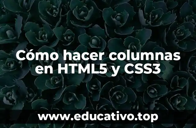 Cómo hacer columnas en HTML5 y CSS3