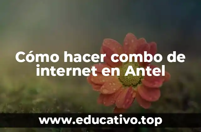 Cómo hacer combo de internet en Antel