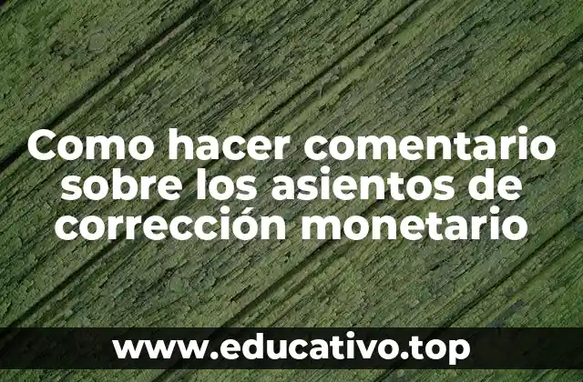 Como hacer comentario sobre los asientos de corrección monetario