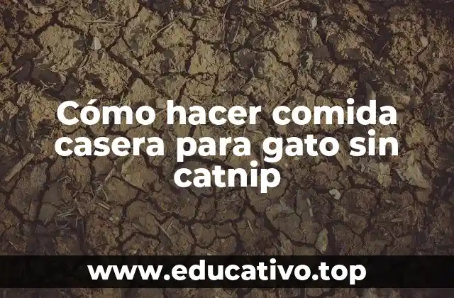 Cómo hacer comida casera para gato sin catnip