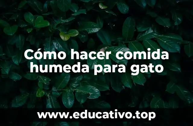 Cómo hacer comida humeda para gato