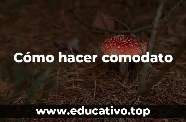 Cómo hacer comodato