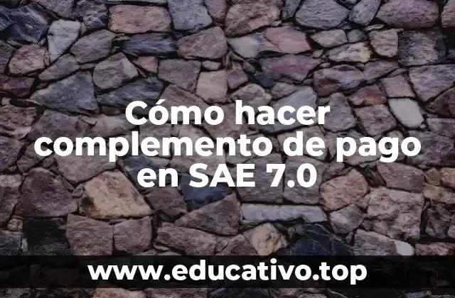 Cómo hacer complemento de pago en SAE 7.0